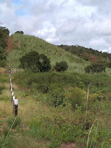 Fazendinha 3,6 Alq. Baixei o Preço.R$: 45.000,00 por Alq - Foto 6