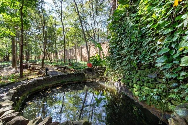 Terreno à venda no Condomínio Aspen, em Ribeirão Preto/SP I Imobiliária em Ribeirão Preto  - Foto 9