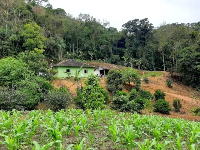 Sítio em Santa Maria de Jetibá - Gonçalves - Foto 9