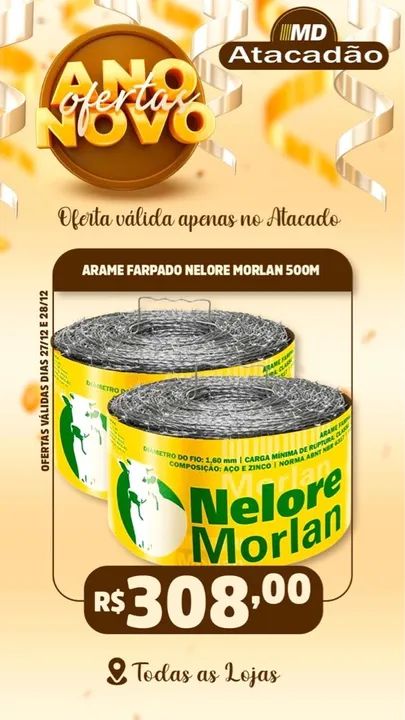 Arame Farpado Nelore Morlan 500m - Novo