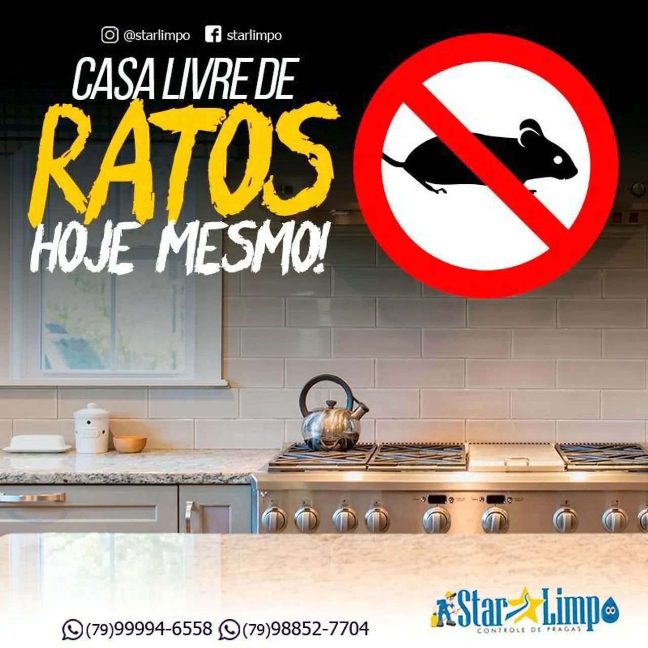 Starlimpo Dedetização 02/02/25 - Foto 3