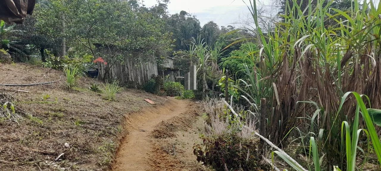 SÍTIO NO MUNICÍPIO DE TAPIRAÍ SP. VENDA - Foto 4