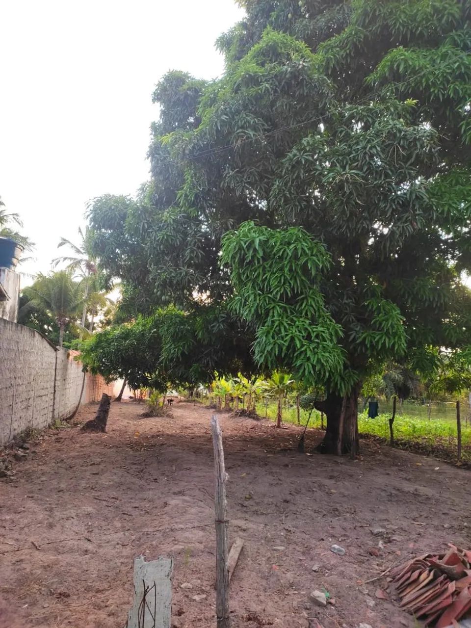 Terreno em são Cristóvão  - Foto 2