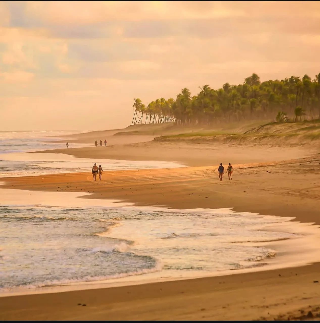 Diárias Resort TreeBies - Foto 3