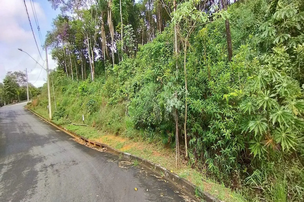 Lote em Condomínio à venda, Canto da Mata - Nova Lima/MG