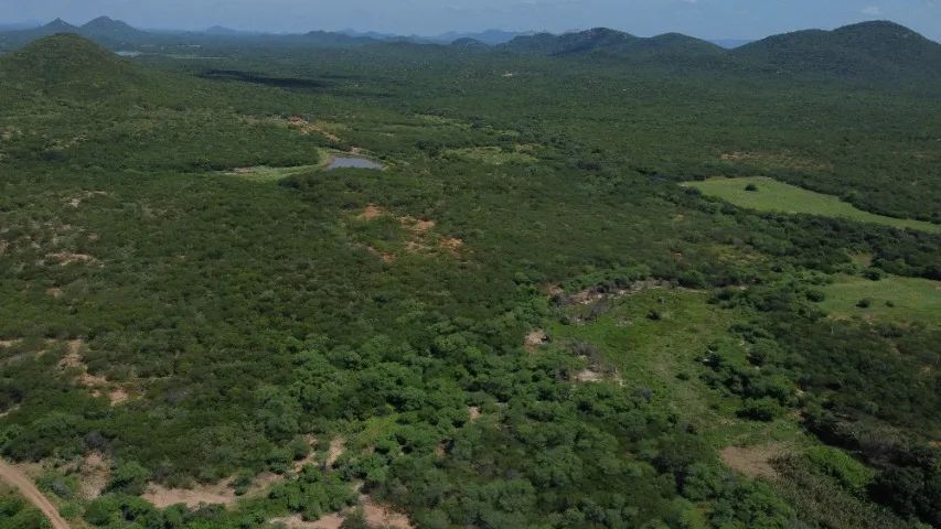 3 excelentes propriedades no Sertão da PB. - Foto 4