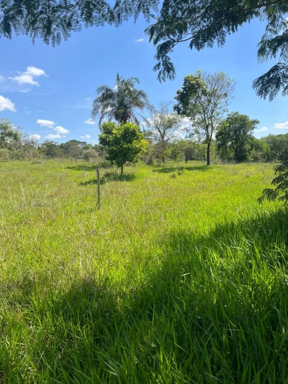 Foto - Goiânia - Área Rural de Goiânia