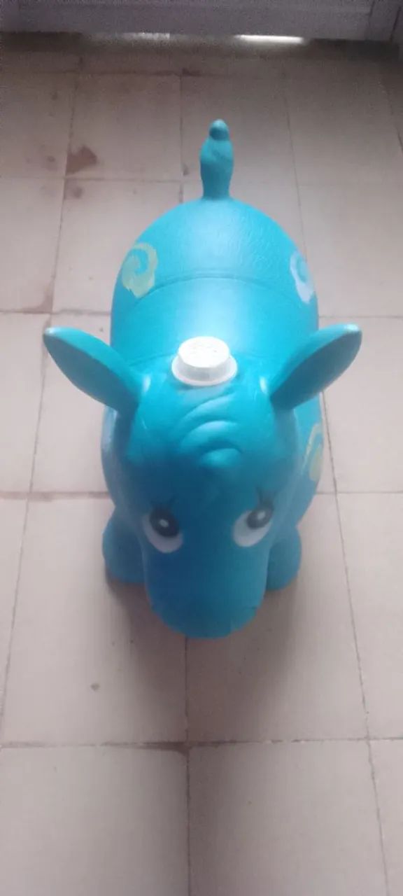 Vendo Cavalinho por 50 reais  - Foto 4