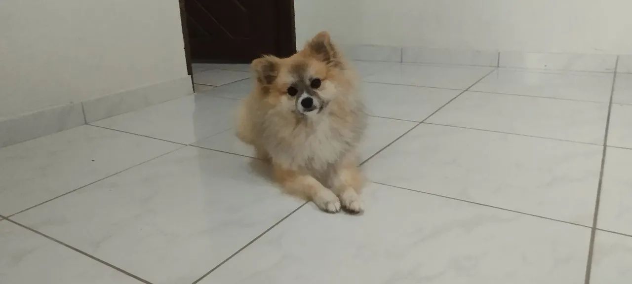 Estou a procura namorada  - Foto 3