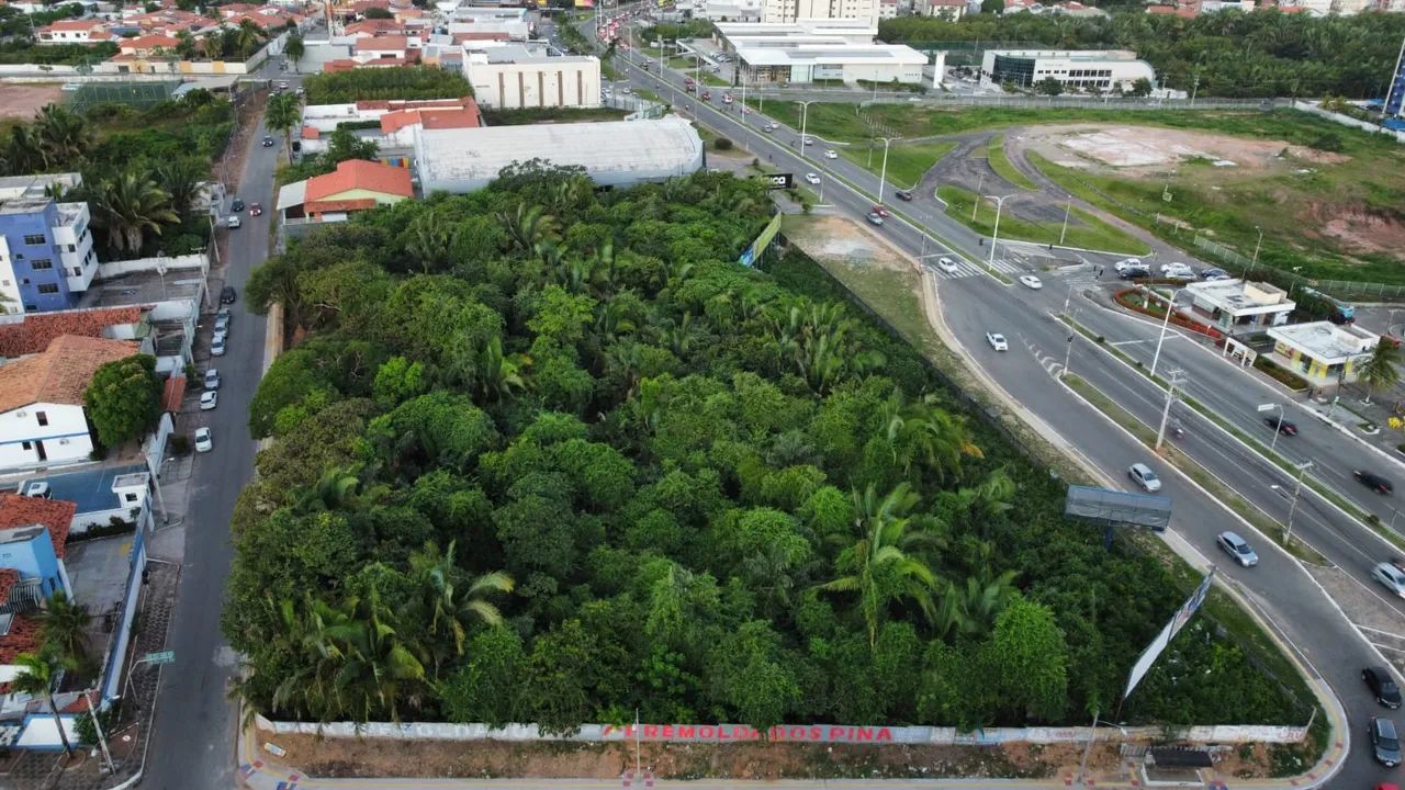 Lote  com 9.900 m²,  próximo da Praia Litoranea, Parque Atlântico - São Luís . - Foto 4