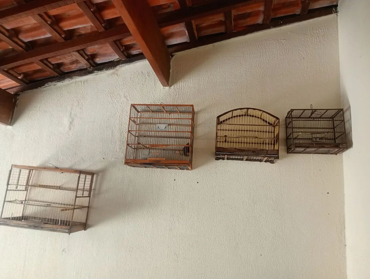 Gaiolas 