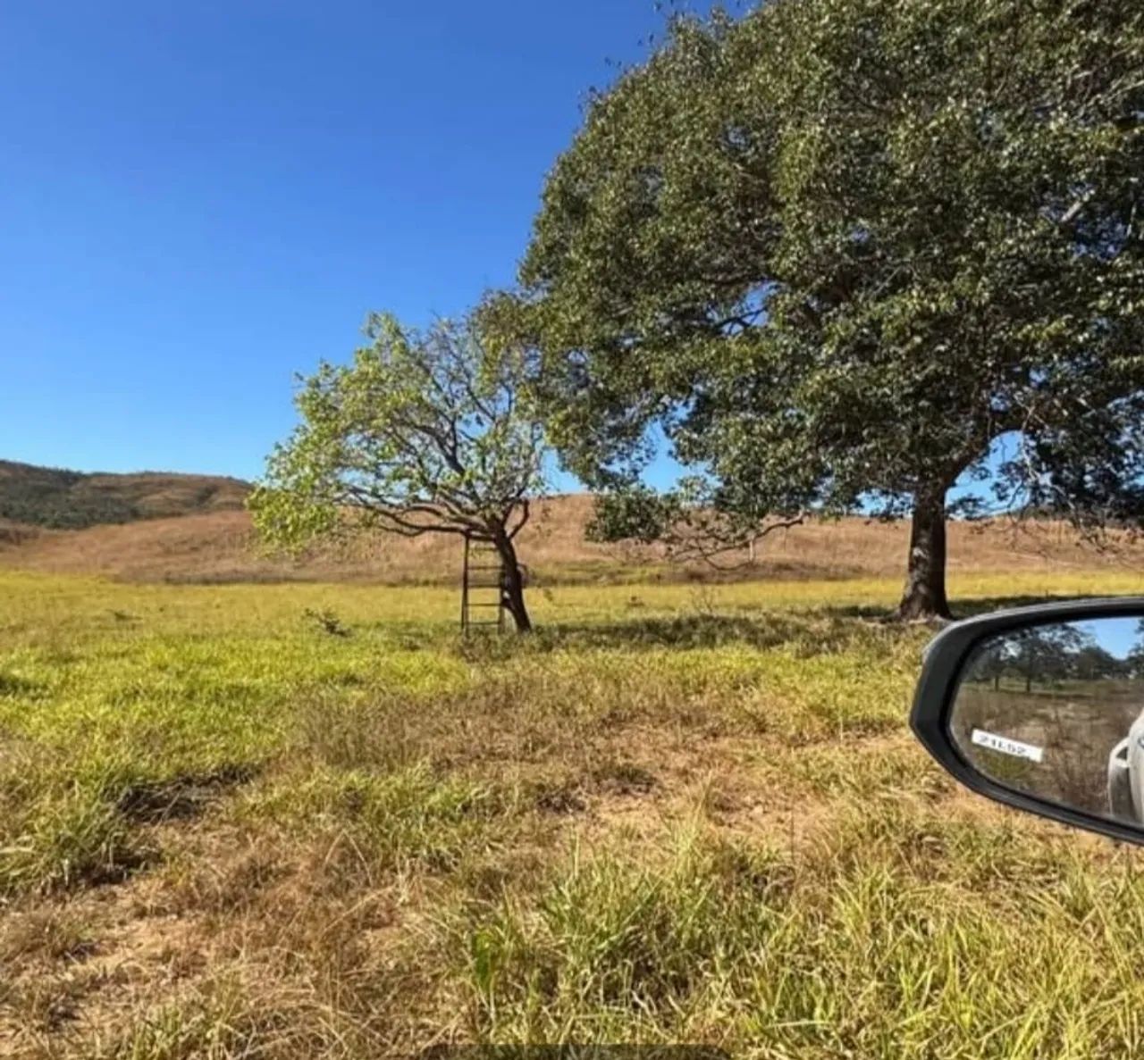 Fazenda de 51 alqueires  - Foto 4