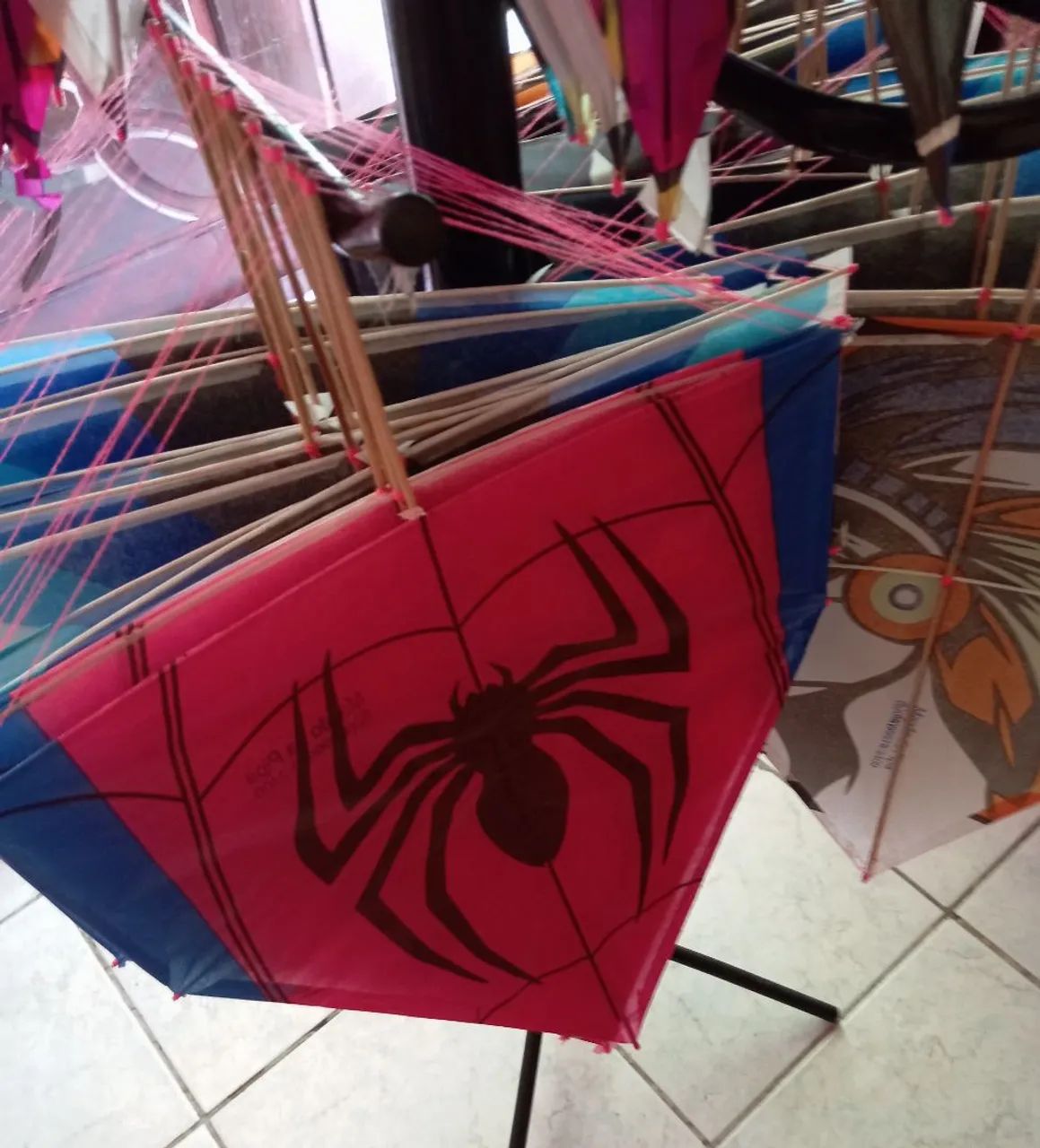 Magao da pipa  - Foto 4