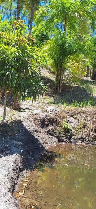 Chácara Nosso Recanto-Santa Teresa. Aceitamos carro como parte de pagamento - Foto 7