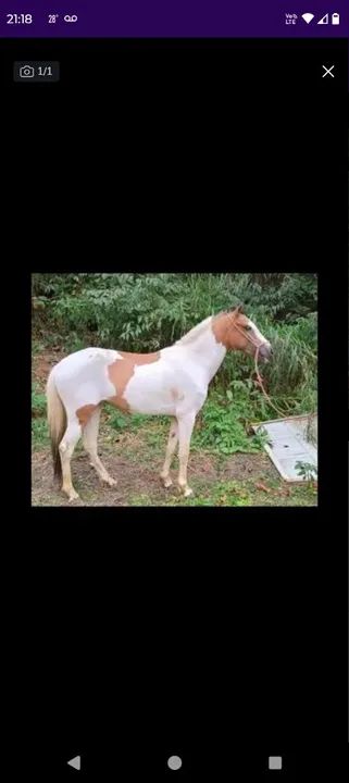 Só vendas  - Foto 4