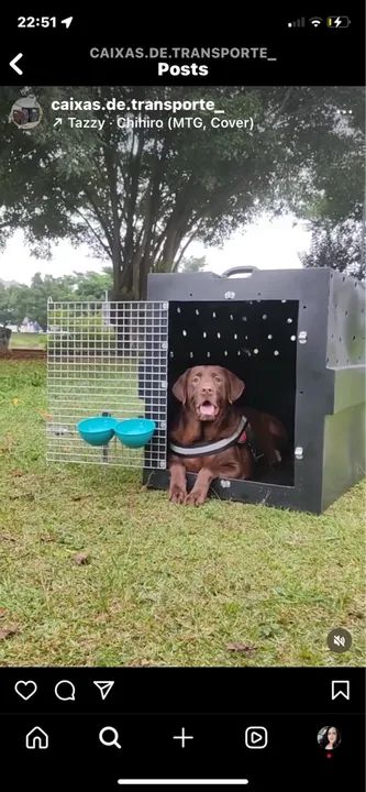 Caixa transporte kennel - Foto 2