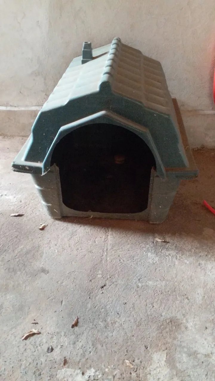 Casinha para cachorro 80,00