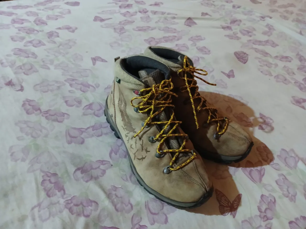 Botas de montanhismo