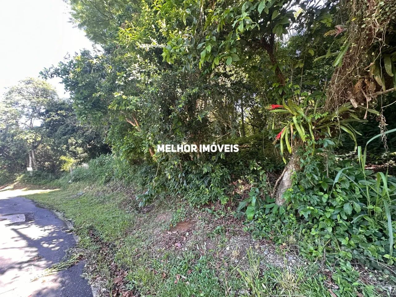Terreno com rua asfaltada á venda na praia de Taquaras em Balneário Camboriú - Foto 5