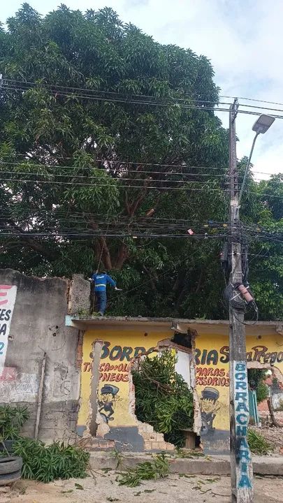 Limpeza de terreno  - Foto 3