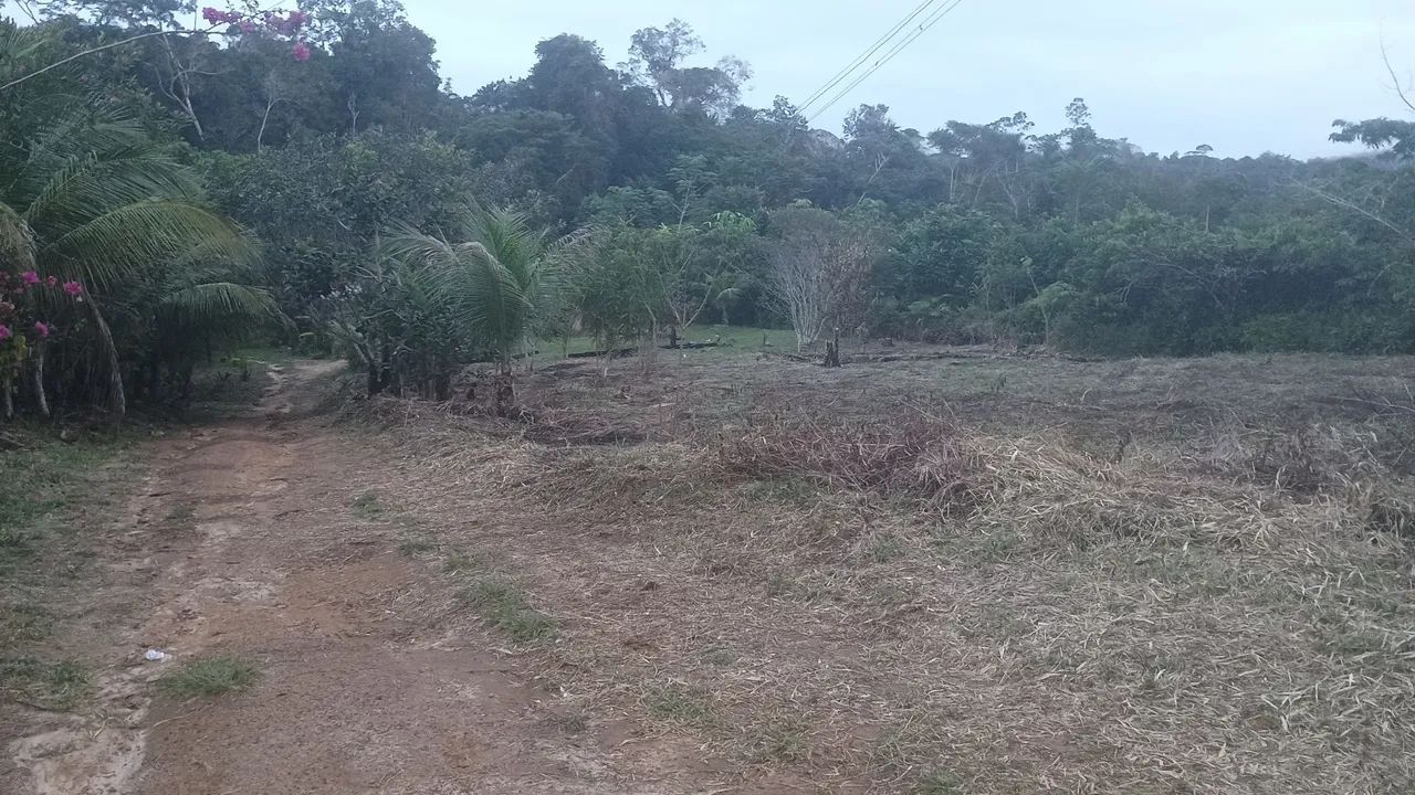 Sítio  - Foto 2