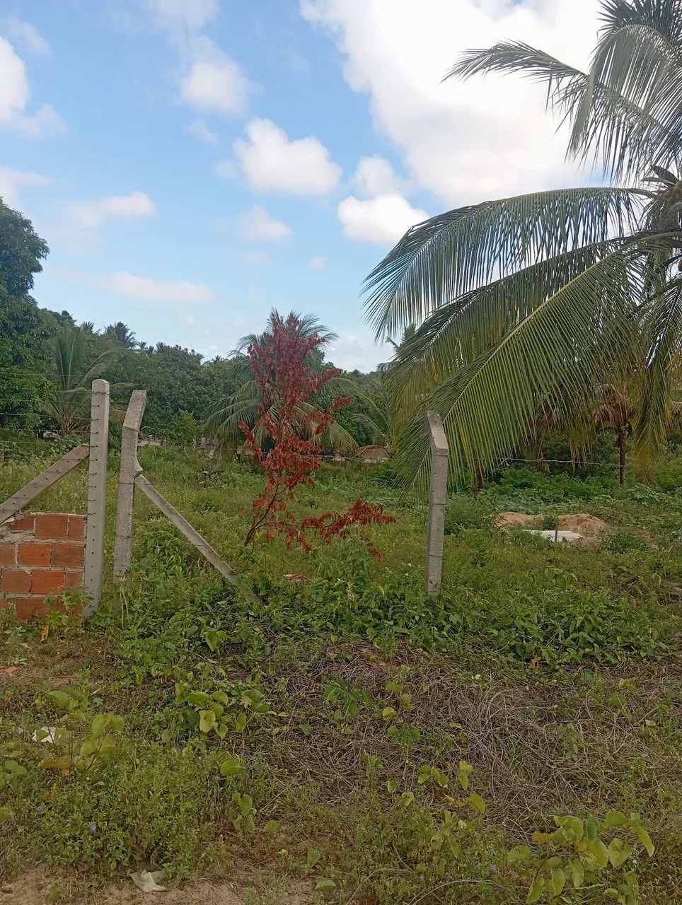 Foto - Aracaju - São Conrado