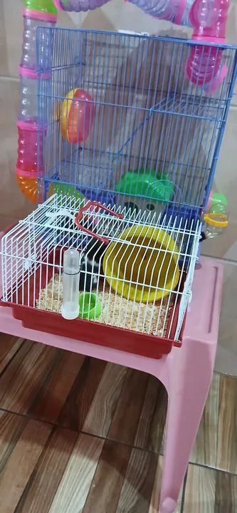 2 Gaiolas para 2 Hamsters com Acessórios - Foto 2