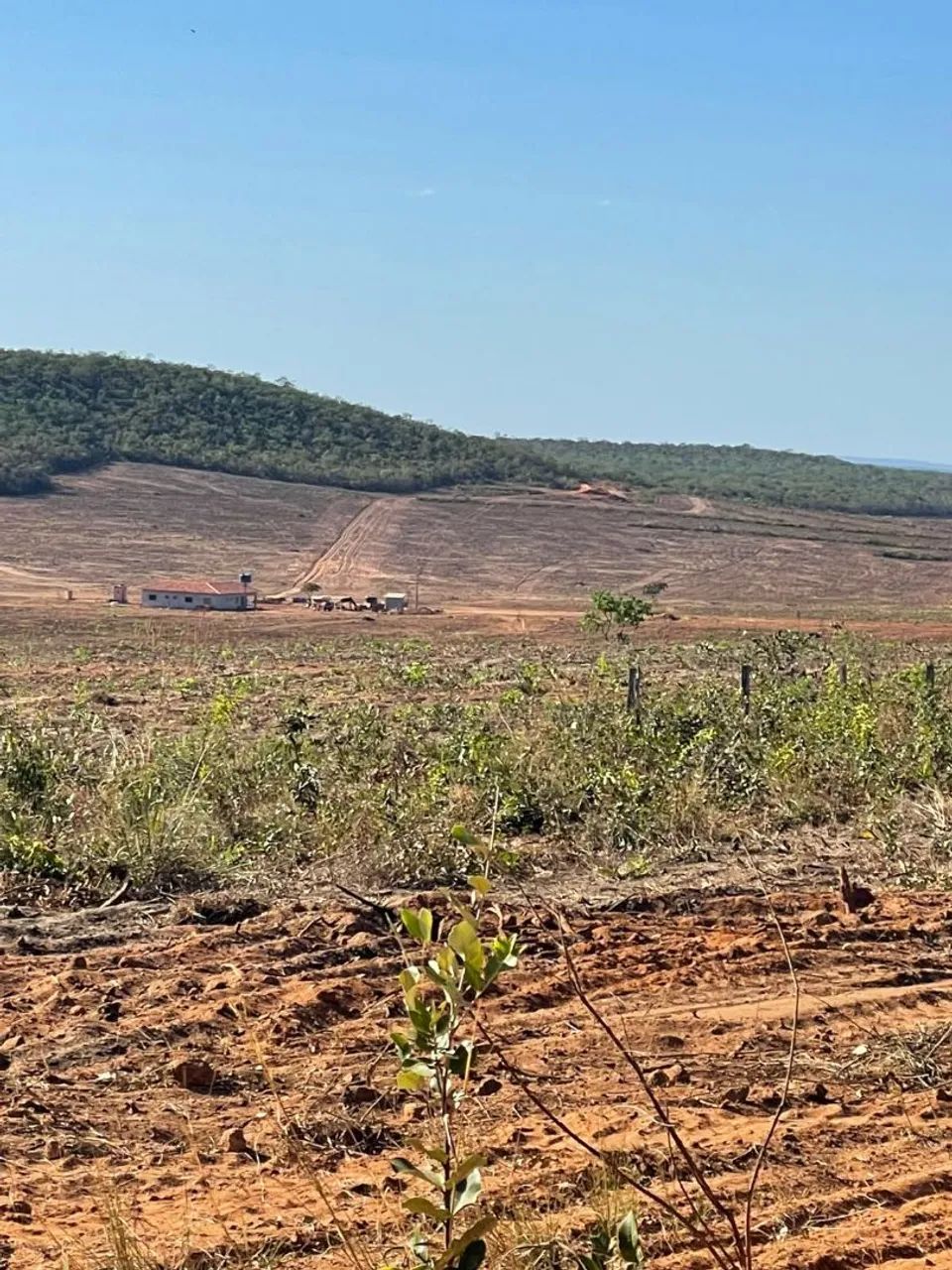 Fazenda de arrendamento 1.600 hec 430 aberto com 8 Ton calcário  - Foto 3