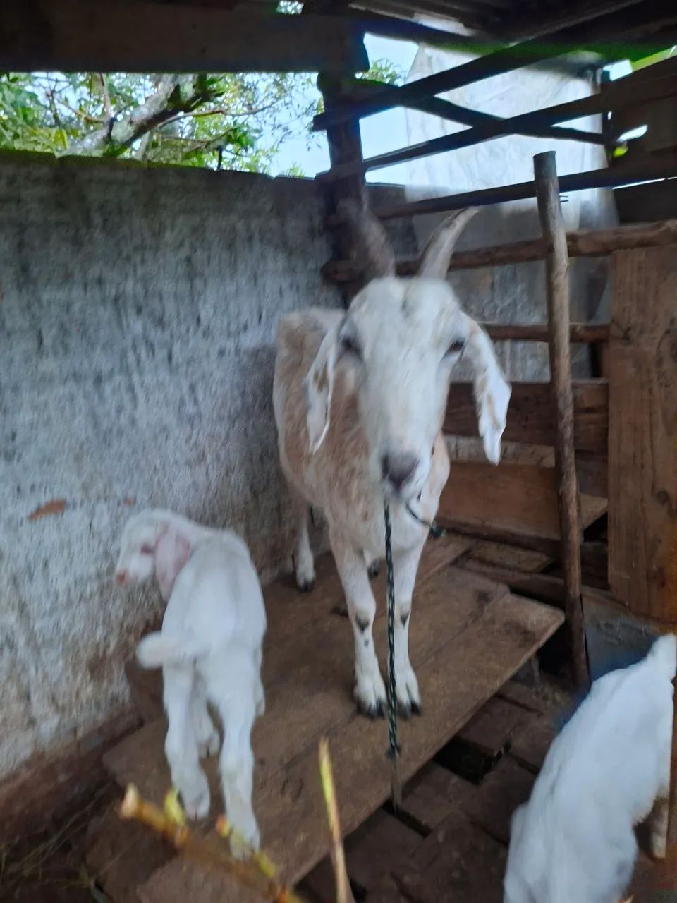 Vendo - Foto 3