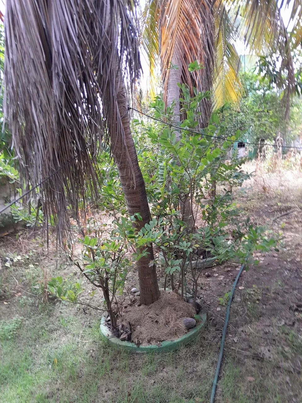 Venda de casa - Foto 5