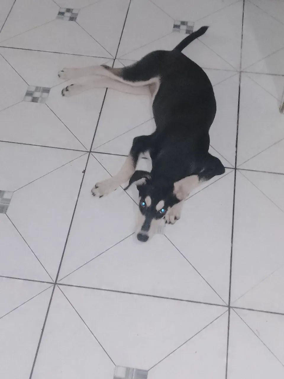 Para doação 