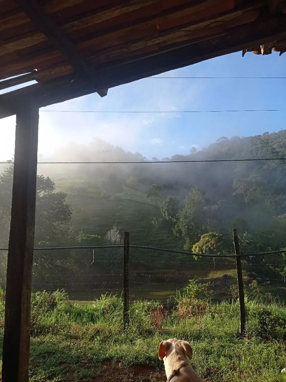 Sítio com pomar/roça de cacau 5 hectares em Itajurú.  - Foto 5