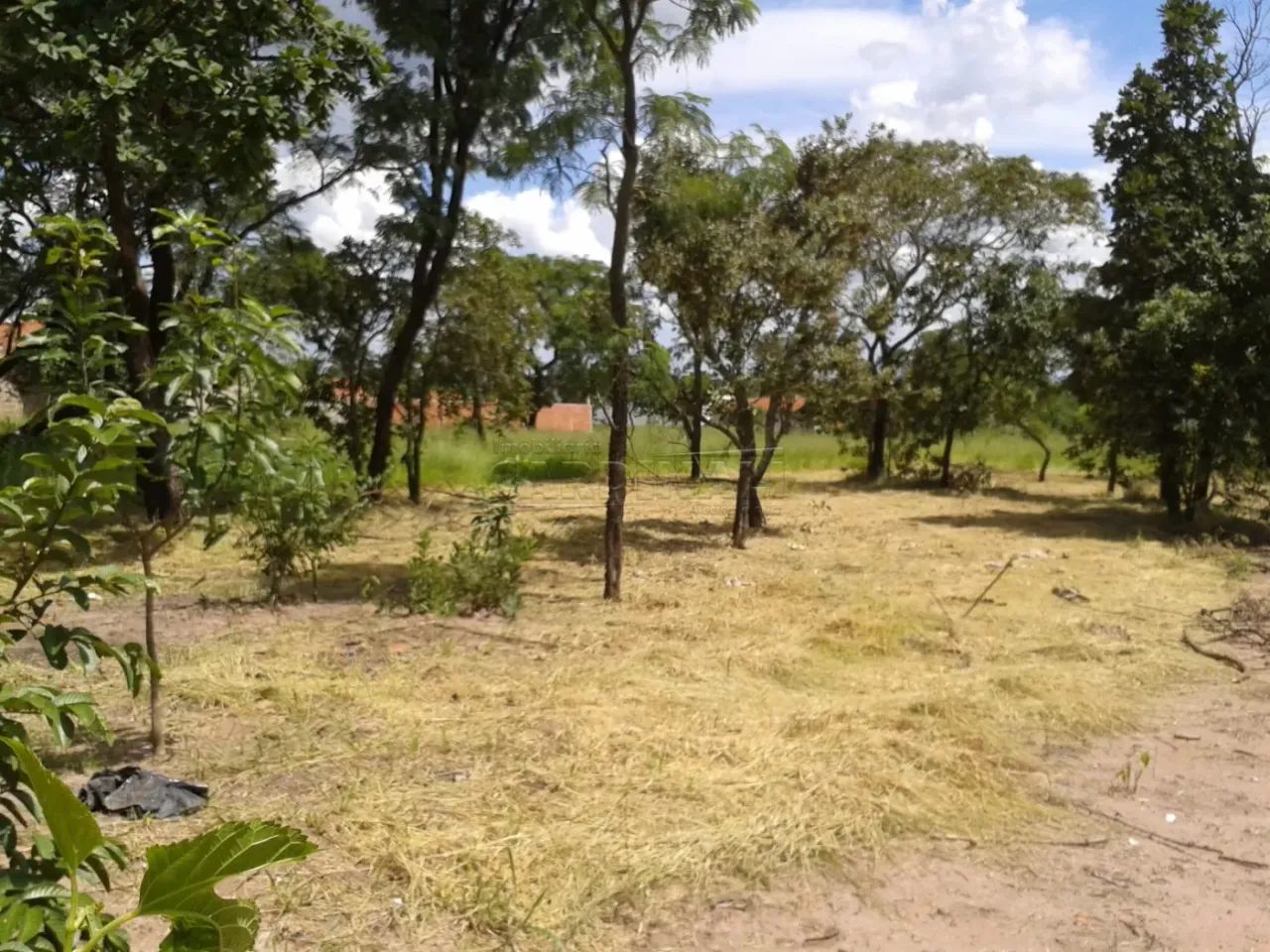 Terreno Padrão em Brotas - Foto 4