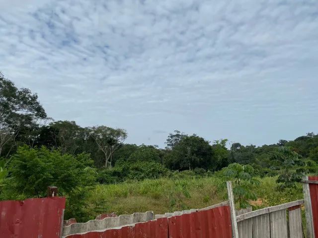 Terreno no Tarumã com 92 mil m2 - Foto 3