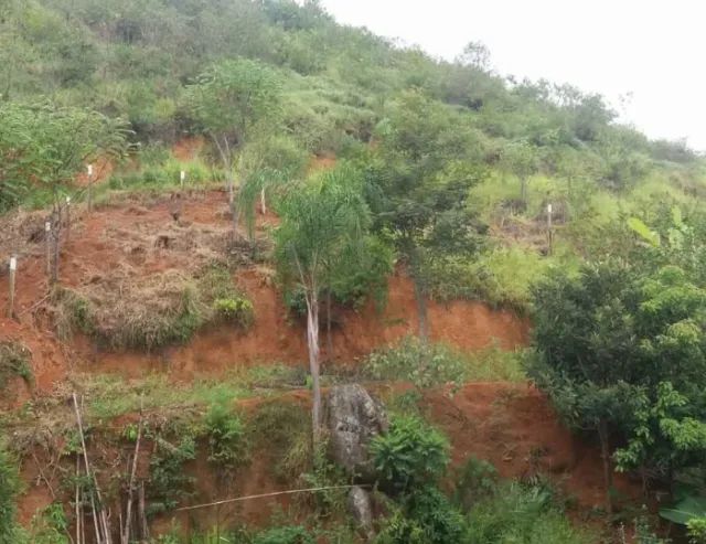 Excelente Terreno - Foto 5