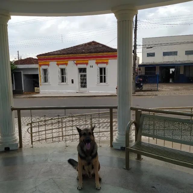 500m² área útil em frente a Praça no Centro