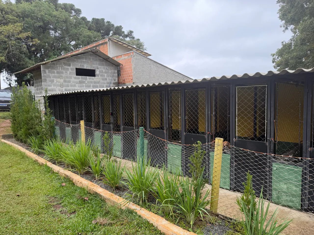 Hotel, creche e centro de treinamento de cães - Foto 3