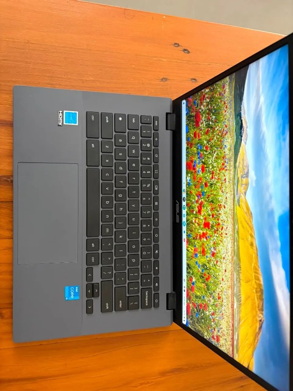 Notebook ASUS CHROME CX3402 I5 GRAY