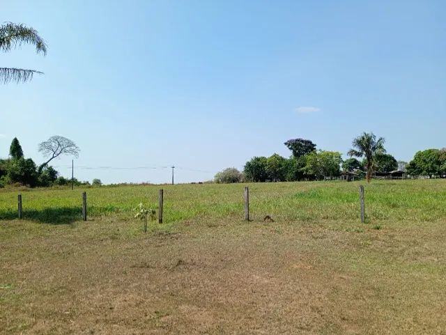 Lindo Sitio com 64 Alqueires em Parecis - RO - Foto 4
