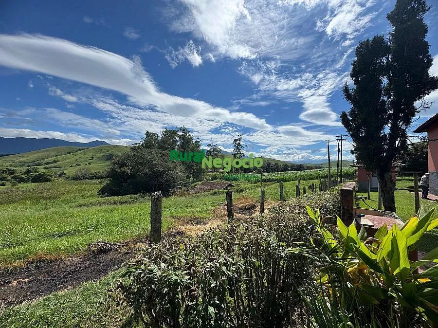 CHÁCARA PLANA COM BELAS CONSTRUÇÕES E FÁCIL ACESSO - Foto 4