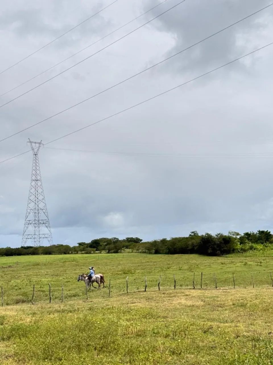Fazenda para Venda em Penedo, Zona Rural - Foto 2