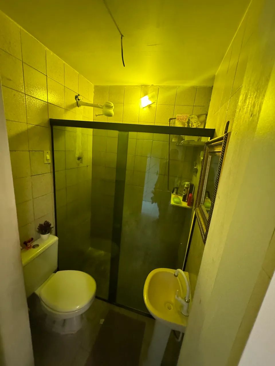 Casa  ( Alugo )  - Foto 3