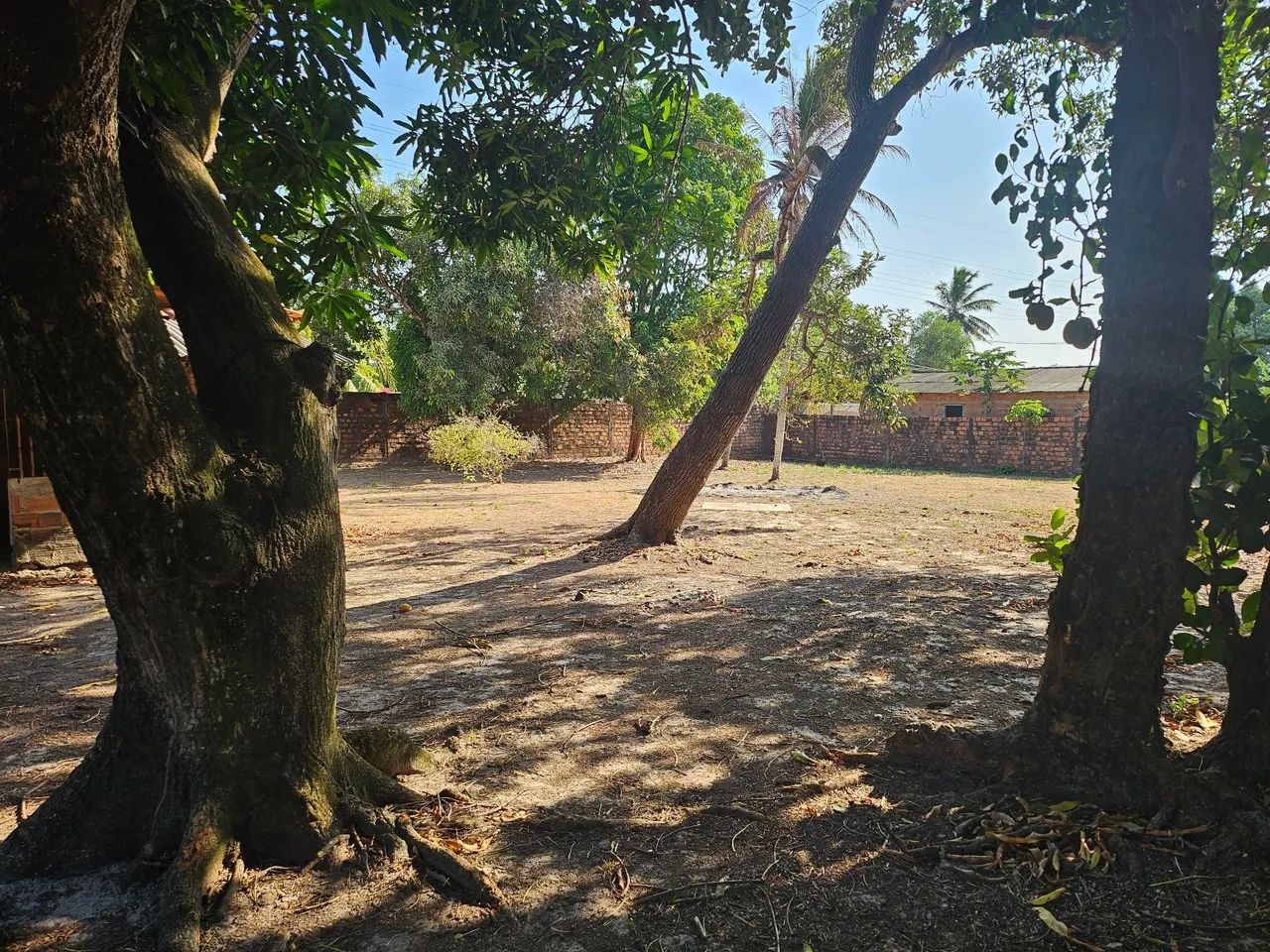 Sítio a venda - Foto 5