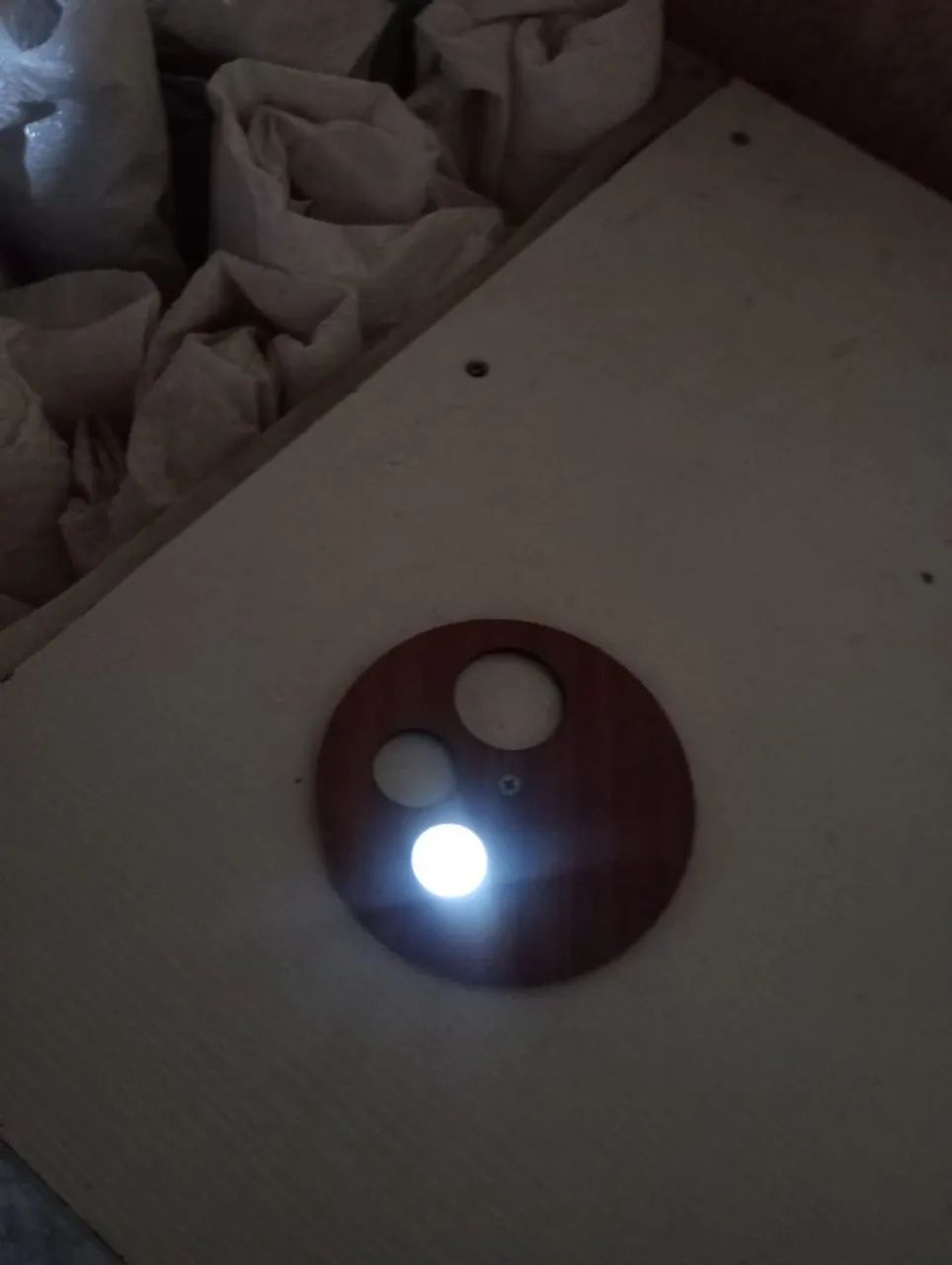 Vendo Disco de arado e Chocadeira - Foto 3