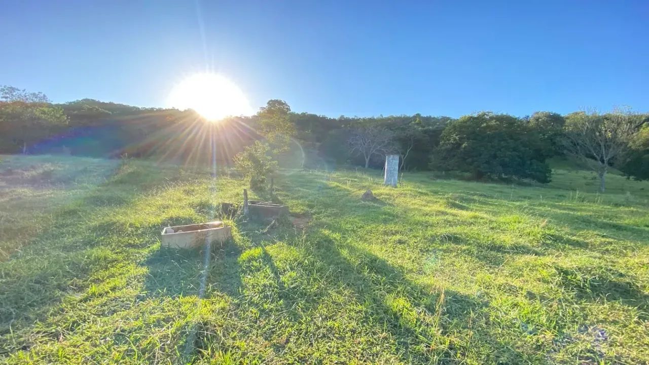 Fazenda em Aragoiânia, 15,8 hectares, 1km do asfalto, 10 km do centro de Aragoiânia, excel - Foto 10
