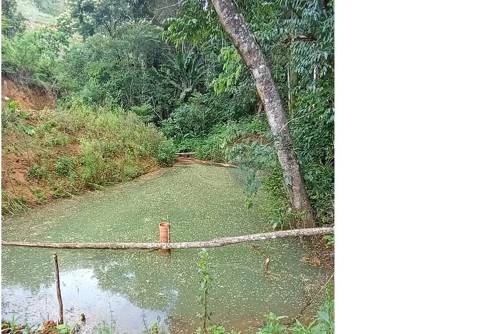 Fazenda em Ibitirama: Natureza e Tranquilidade - Foto 3