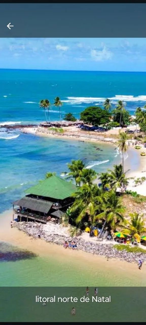 Narota com Turista Transfer 