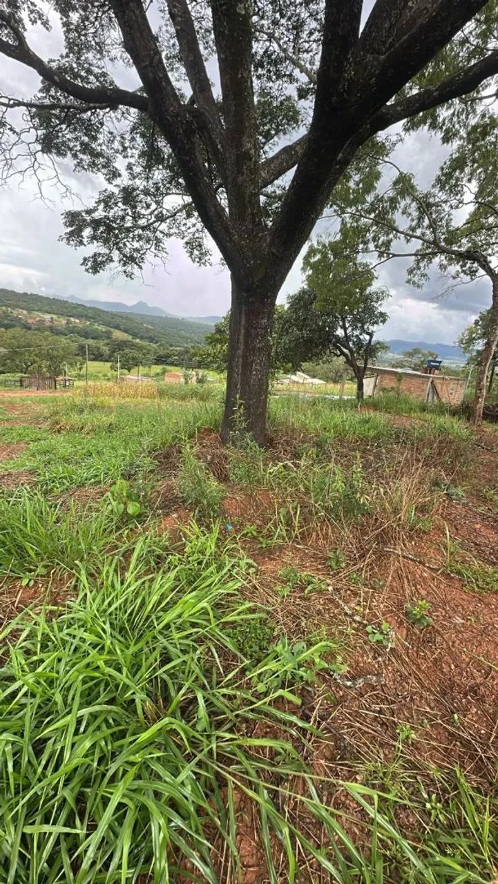 Chacaras em mateus  leme  - Foto 3