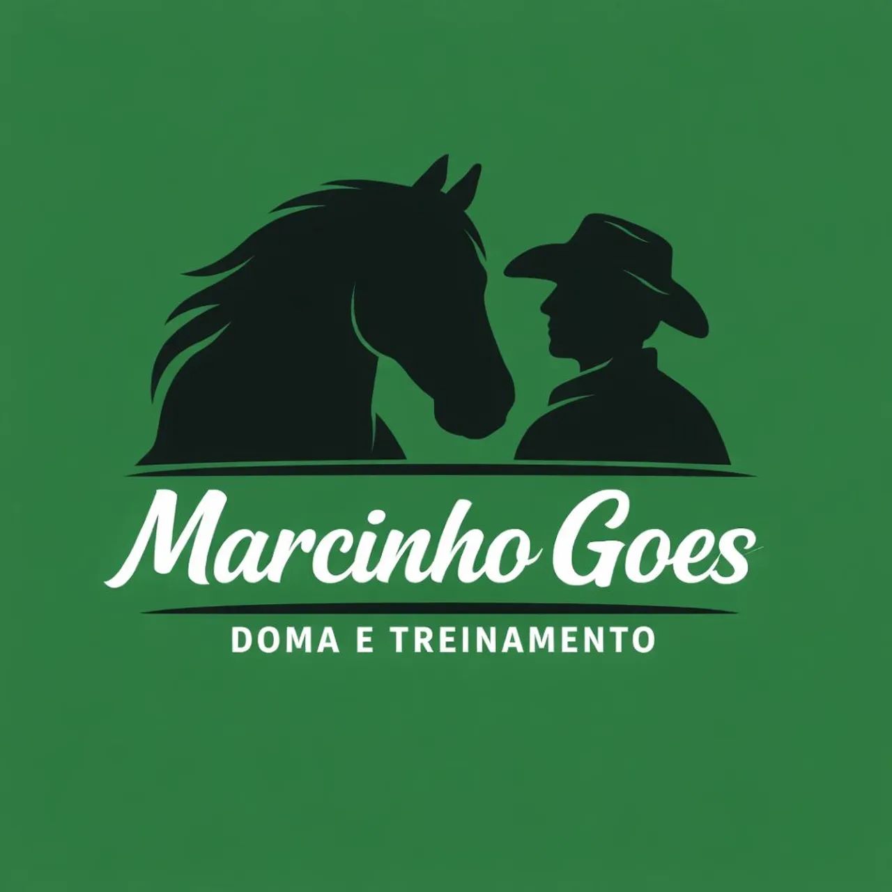 Doma e Treinamento de Cavalos  - Foto 2