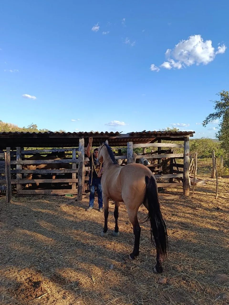 vendo ou troco - Foto 4